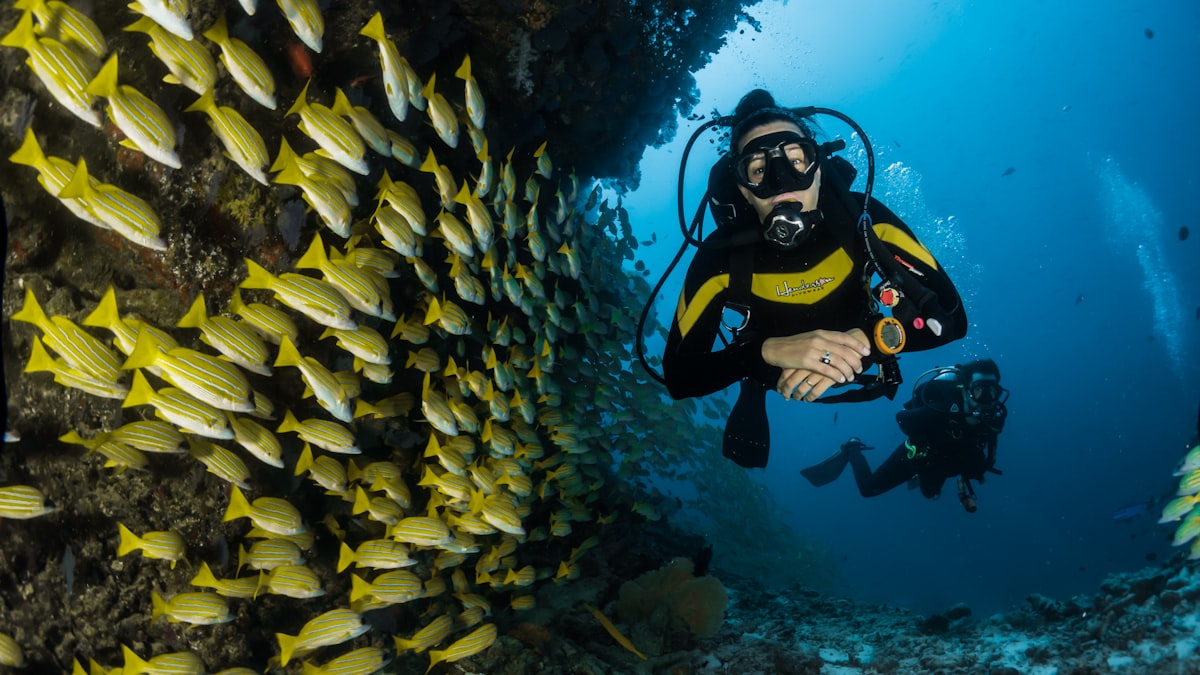 Terumbu karang Raja Ampat termasuk yang paling beragam di planet ini, hasil dari jaringan kawasan lindung yang dibangun bertahun-tahun.